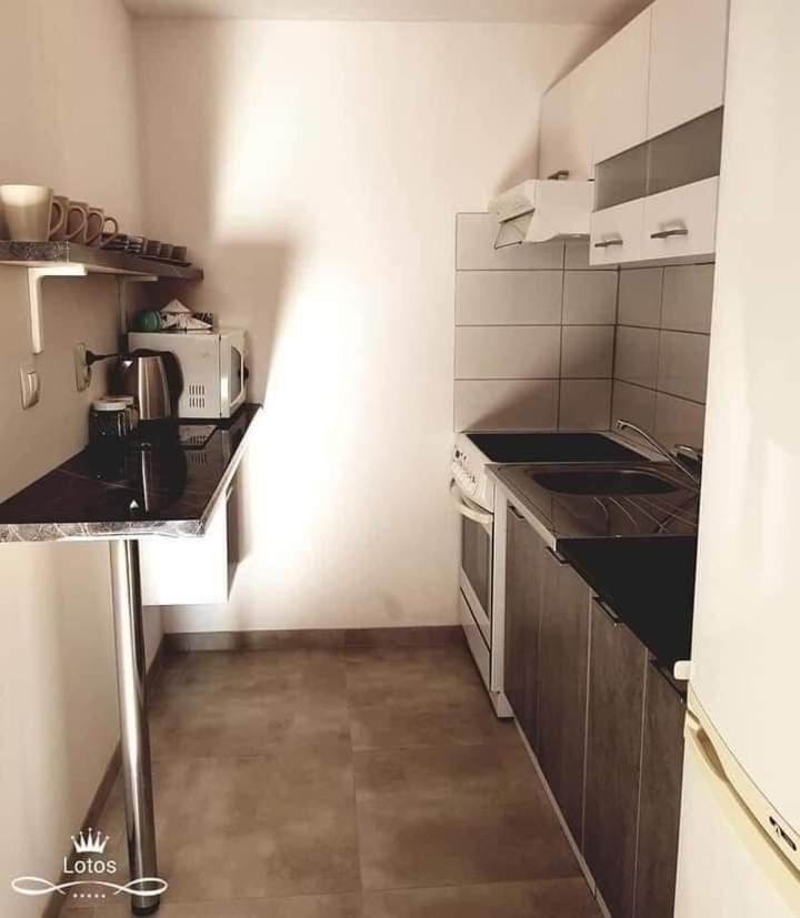 Apartament Lotos Zator Dış mekan fotoğraf